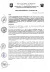 Vista preliminar de documento Resolución Gerencial N.° 0218-2024-MDT-GM