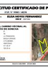 Vista preliminar de documento 157 - ELISA HOYOS - LOTE 01