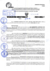 Vista preliminar de documento R.D 1009-2024
