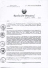 Vista preliminar de documento RD-022-2015-DG/INMP