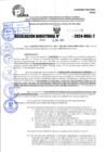 Vista preliminar de documento R.D 1006-2024