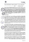 Vista preliminar de documento RGGR385