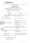 Vista preliminar de documento Perfil del Puesto