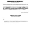 Vista preliminar de documento RENDICION DE CUENTA