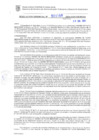 Vista preliminar de documento RG. 000598-2024-GSATDE