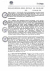 Vista preliminar de documento RGGR382