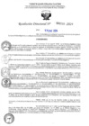 Vista preliminar de documento R-DN°216