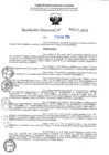 Vista preliminar de documento RDN°217