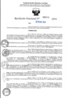 Vista preliminar de documento R-DN°225