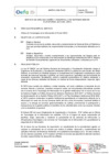 Vista preliminar de documento TDR 2155