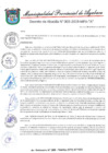Vista preliminar de documento DECRETO DE ALCALDIA N° 003-2019-MPA