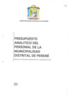 Vista preliminar de documento PAP