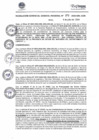 Vista preliminar de documento RGGR373