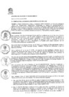 Vista preliminar de documento AC-30-2024