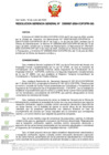 Vista preliminar de documento RGG Nº D000067-2024-GG