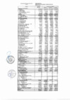 Vista preliminar de documento Presupuesto de ingresos y egresos