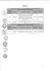 Vista preliminar de documento Anexo N° 057-2016-DV-PE