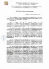 Vista preliminar de documento RGDE-227-24