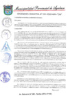 Vista preliminar de documento ORDENANZA MUNICIPAL N° 015-2019-MPA-CM