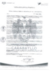 Vista preliminar de documento N° 306-2024