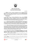 Vista preliminar de documento RD 00132 2024 PRODUCE DGAAMPA