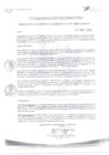 Vista preliminar de documento N° 308-2024