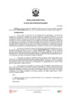 Vista preliminar de documento RD 00133 2024 PRODUCE DGAAMPA