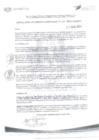 Vista preliminar de documento N° 309-2024