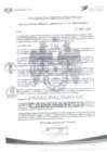 Vista preliminar de documento N° 310-2024
