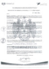 Vista preliminar de documento N° 313-2024