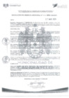 Vista preliminar de documento N° 315-2024