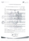 Vista preliminar de documento N° 343-2024
