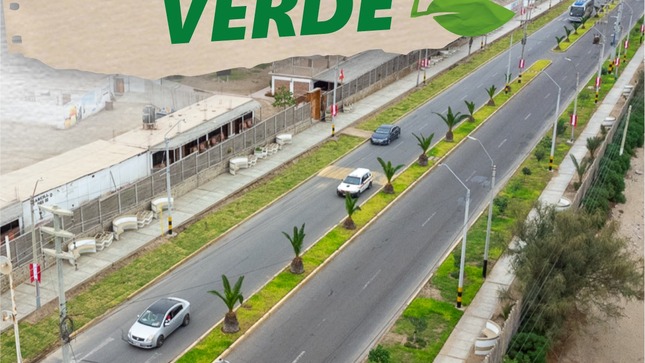 Paracas Verde