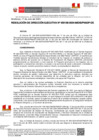 Vista preliminar de documento RDE 158-2024