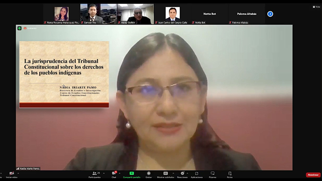 Conferencia sobre "La jurisprudencia del Tribunal Constitucional sobre los derechos de los pueblos indígenas" organizaron AMAGF y CEC del TC