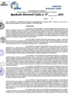 Vista preliminar de documento Resolucion Directoral N° 004333-2024