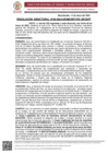 Vista preliminar de documento Resolución D. N° 6-2024