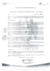 Vista preliminar de documento N° 355-2024