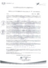 Vista preliminar de documento N° 357-2024