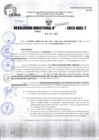 Vista preliminar de documento R.D 02071-2023