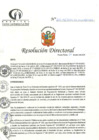 Vista preliminar de documento RD N°227-07-2024-DE-HCLLH-MINSA