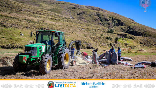 Impulsando la productividad agrícola en Livitaca con tecnología avanzada