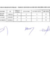 Vista preliminar de documento Resultados Finales
