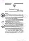 Vista preliminar de documento RD. 593-2024 
