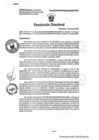 Vista preliminar de documento RD. 595-2024 