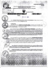 Vista preliminar de documento R.D 02028-2023