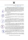 Vista preliminar de documento RES-388-2024-GR