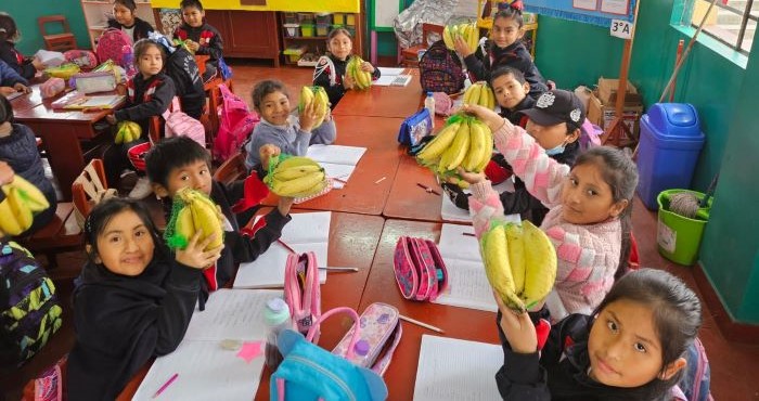 alimentos frescos