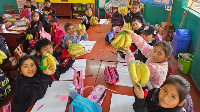 alimentos frescos