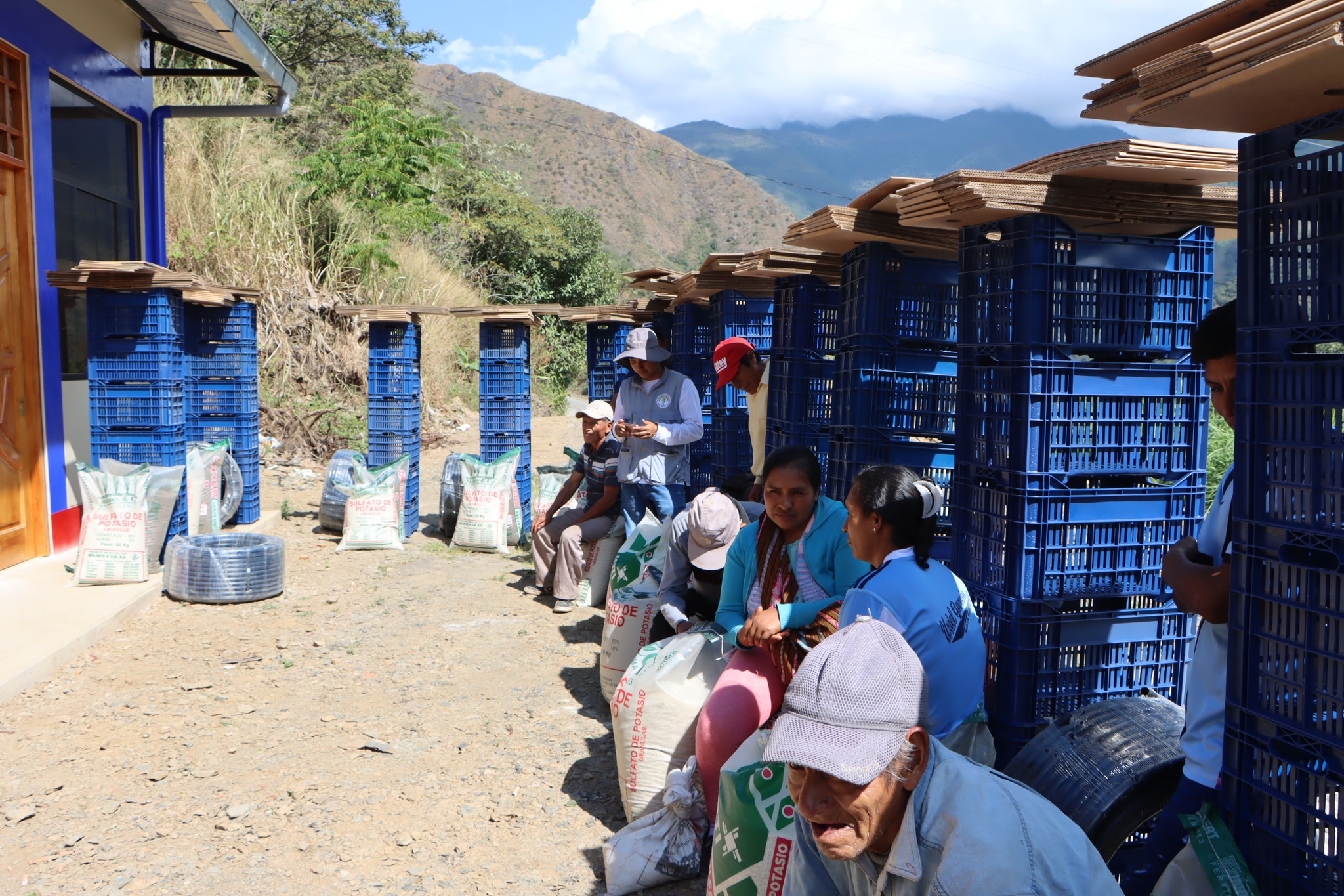 Entrega de las cajas bananeras necesarias para el proyecto de plΓ‘tano. Estas cajas, de alta calidad, estΓ‘n diseΓ±adas especΓficamente para asegurar la protecciΓ³n y conservaciΓ³n de los plΓ‘tanos durante su transporte y almacenamiento.